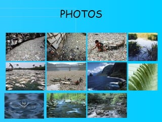 PHOTOS 