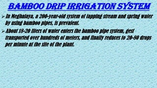 BAMBOO DRIP IRRIGATION SYSTEM
In Meghalaya, a 200-year-old system of tapping stream and spring water
by using bamboo pipes, is prevalent.
About 18-20 liters of water enters the bamboo pipe system, gest
transported over hundreds of meters, and finally reduces to 20-80 drops
per minute at the site of the plant.
 