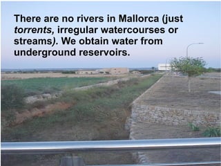 There are no rivers in Mallorca (just  torrents,  irregular watercourses or streams ).  We obtain water from underground reservoirs. 