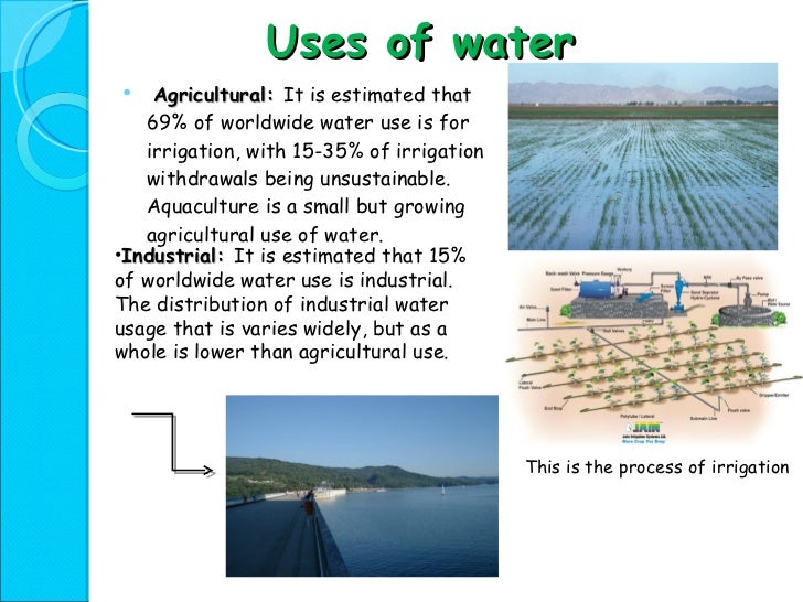 Water resources essay