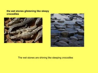 the wet stones glistening like sleepy crocodiles The wet stones are shining like sleeping crocodiles 