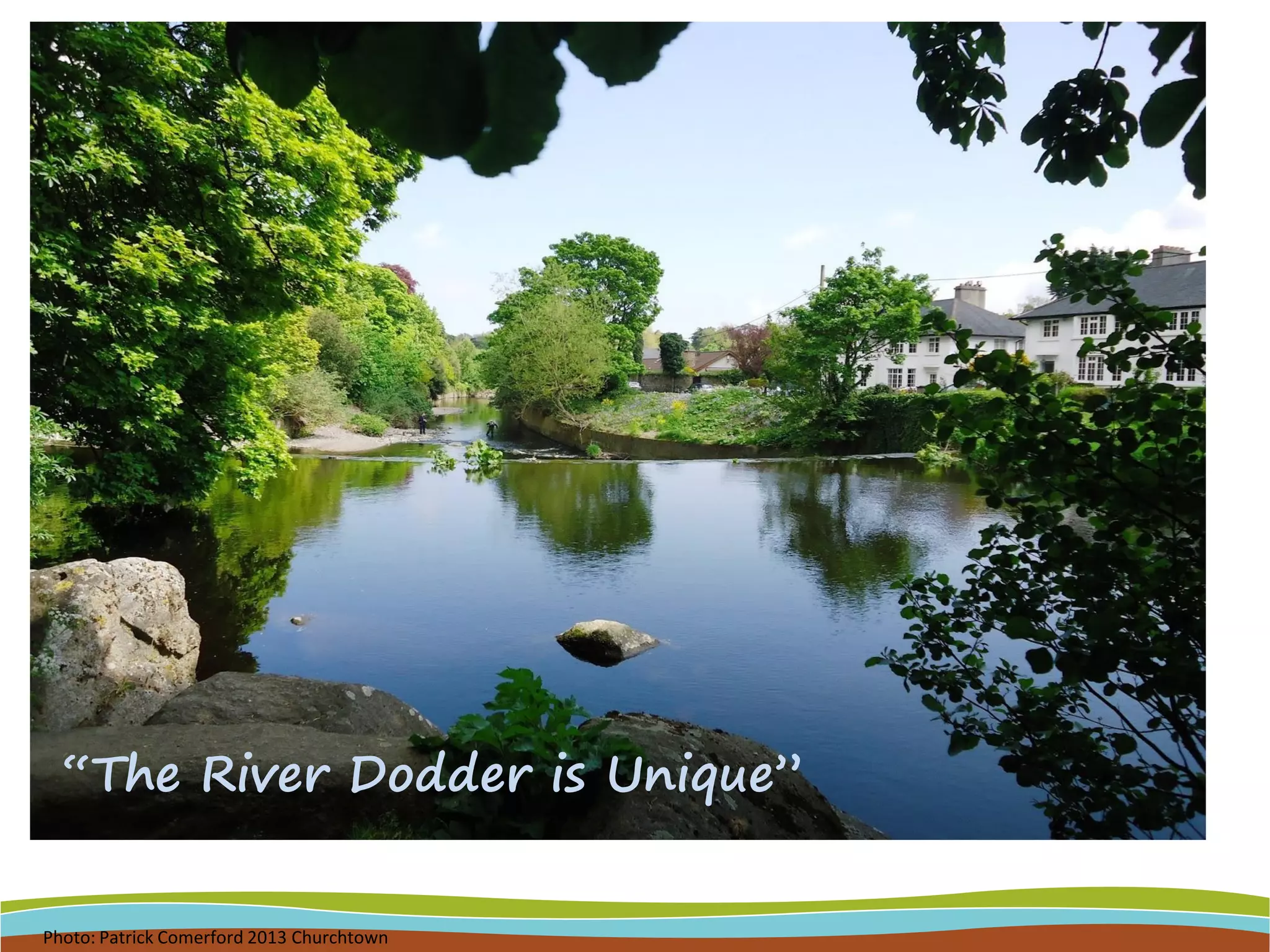 Photo: Patrick Comerford 2013 Churchtown
“The River Dodder is Unique”