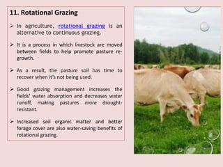 Grazing Process Water saving & harvesting, TZW.pdf