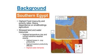 Background
Southern Egypt
• Highest Food insecurity and
poverty rates- Heavy
dependence on smallholdings
agriculture
• Str...