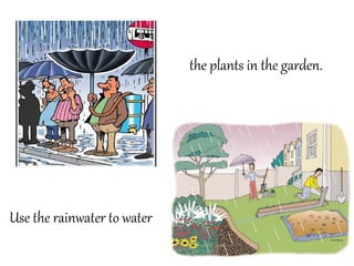 the plants in the garden.

Use the rainwater to water

 