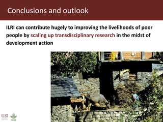 Supporting development processes through livestock innovation systems research