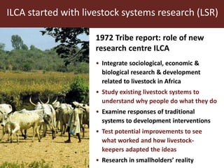 ILCA started with livestock systems research (LSR) 
1972 Tribe report: role of new 
research centre ILCA 
• Integrate sociological, economic & 
biological research & development 
related to livestock in Africa 
• Study existing livestock systems to 
understand why people do what they do 
• Examine responses of traditional 
systems to development interventions 
• Test potential improvements to see 
what worked and how livestock-keepers 
adapted the ideas 
• Research in smallholders’ reality 
 
