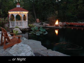 …  or Night 