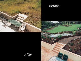 Before After 