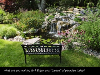 What are you waiting for? Enjoy your “peace” of paradise today!   