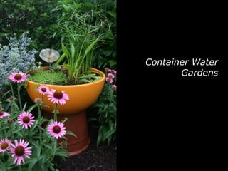 Container Water Gardens 