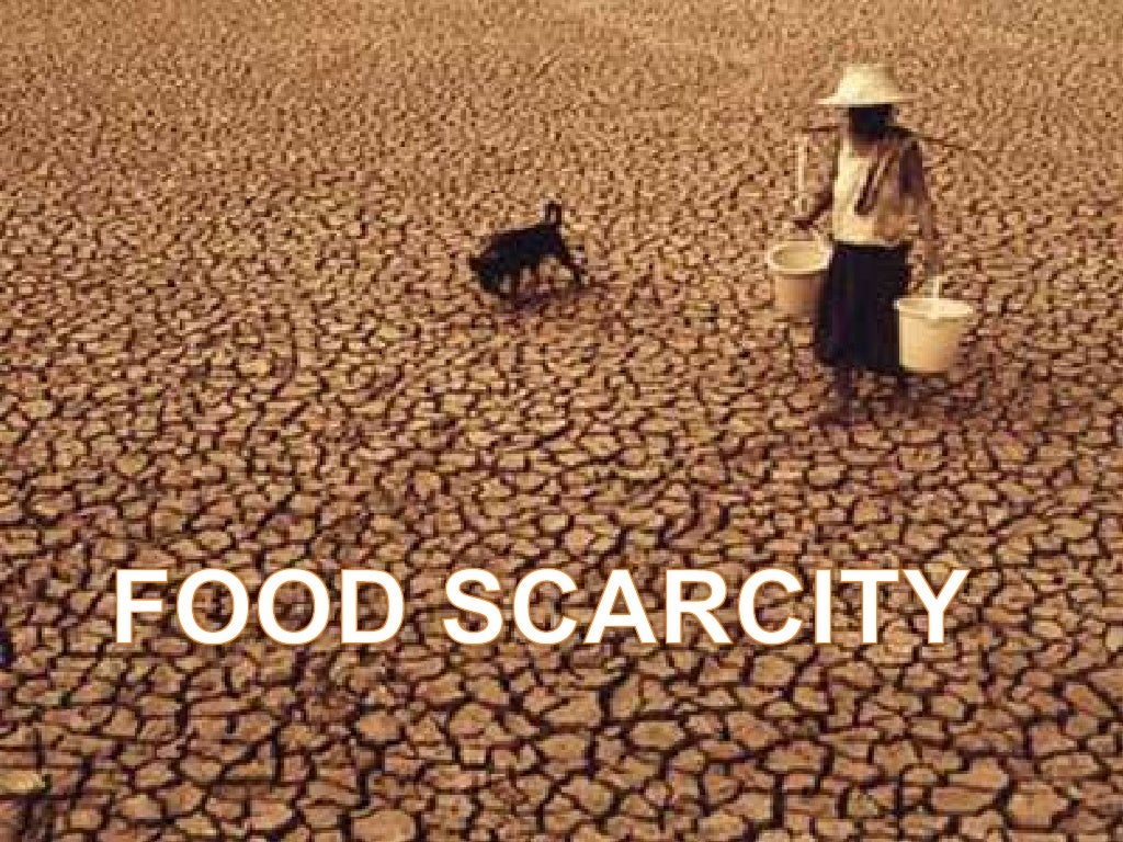 Anshika needed for water and food scarcity