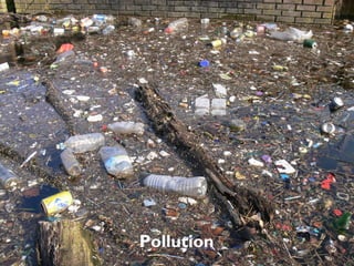 Pollution