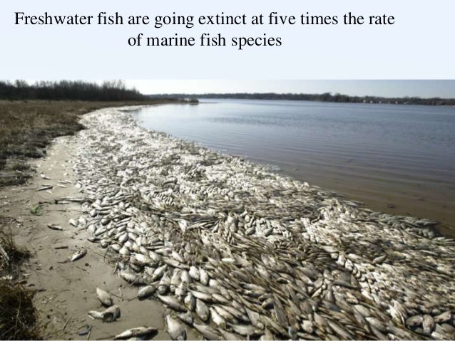 water scarcity marine run time chart