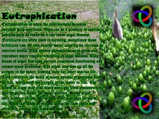 Eutrophication
 