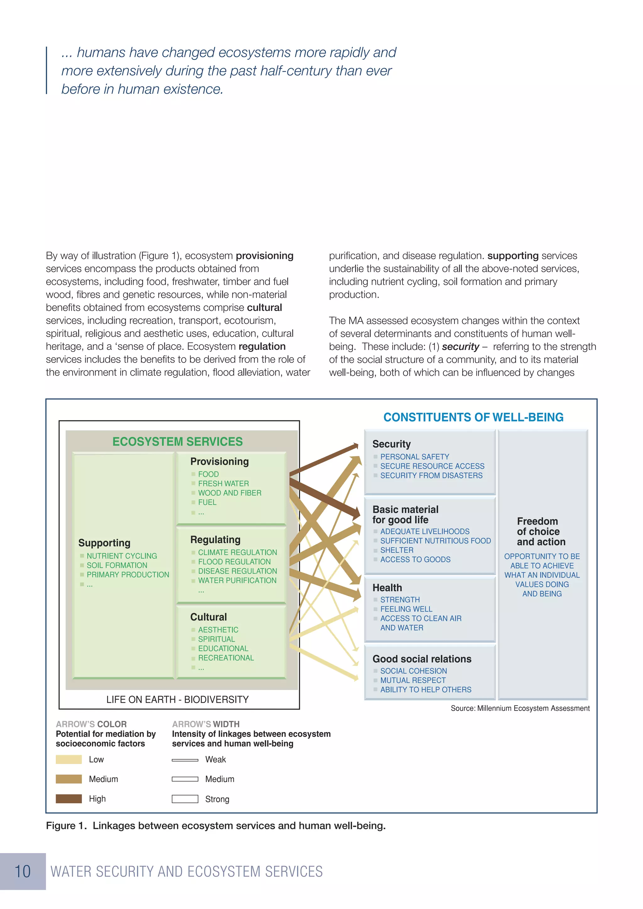 ... humans have changed ecosystems more rapidly and
        more extensively during the past half-century than ever
        before in human existence.




     By way of illustration (Figure 1), ecosystem provisioning        puriﬁcation, and disease regulation. supporting services
     services encompass the products obtained from                    underlie the sustainability of all the above-noted services,
     ecosystems, including food, freshwater, timber and fuel          including nutrient cycling, soil formation and primary
     wood, ﬁbres and genetic resources, while non-material            production.
     beneﬁts obtained from ecosystems comprise cultural
     services, including recreation, transport, ecotourism,           The MA assessed ecosystem changes within the context
     spiritual, religious and aesthetic uses, education, cultural     of several determinants and constituents of human well-
     heritage, and a ‘sense of place. Ecosystem regulation            being. These include: (1) security – referring to the strength
     services includes the beneﬁts to be derived from the role of     of the social structure of a community, and to its material
     the environment in climate regulation, ﬂood alleviation, water   well-being, both of which can be inﬂuenced by changes




     Figure 1. Linkages between ecosystem services and human well-being.



10    WATER SECURITY AND ECOSYSTEM SERVICES
 
