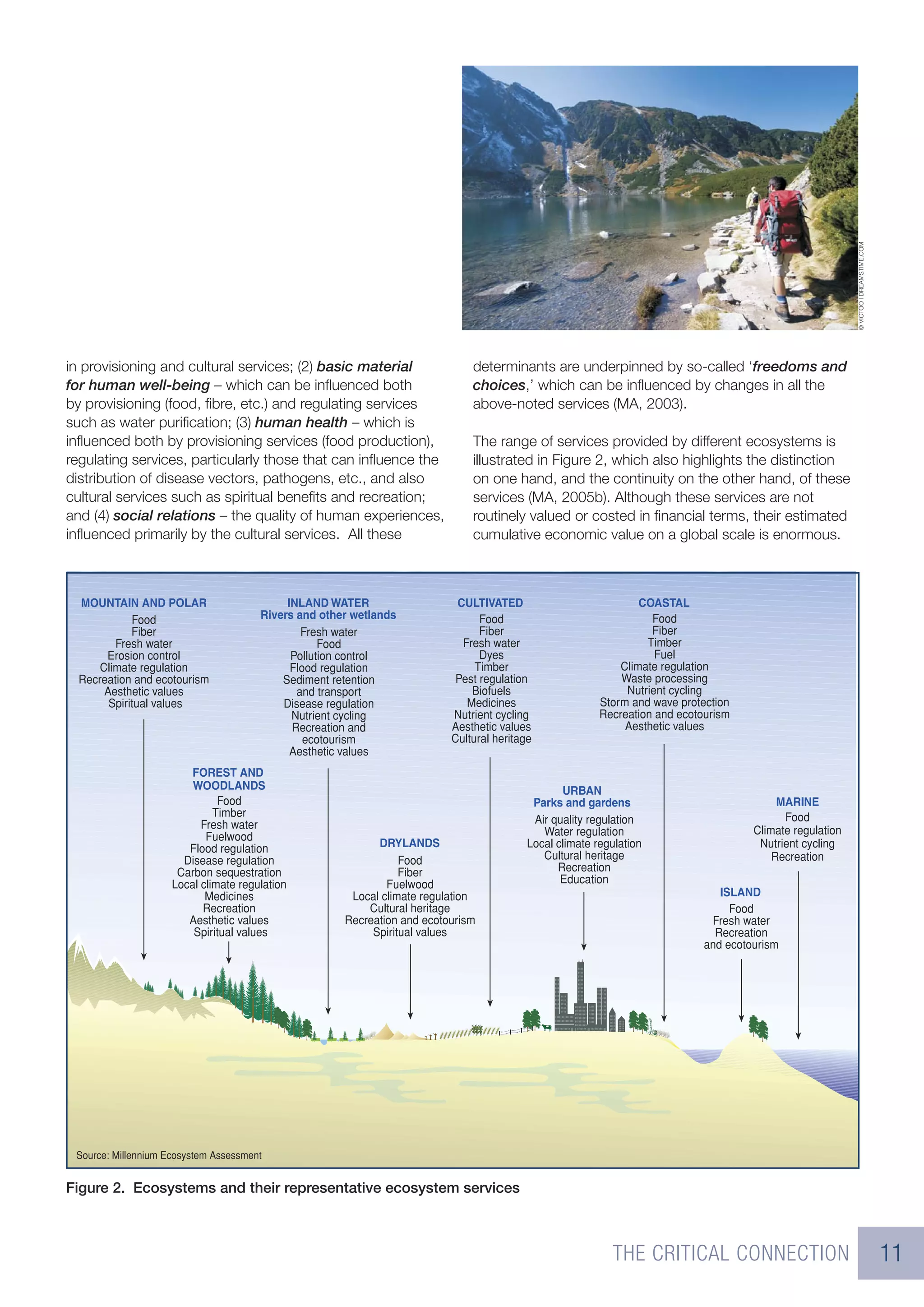 © VICTOO | DREAMSTIME.COM
in provisioning and cultural services; (2) basic material       determinants are underpinned by so-called ‘freedoms and
for human well-being – which can be inﬂuenced both              choices,’ which can be inﬂuenced by changes in all the
by provisioning (food, ﬁbre, etc.) and regulating services      above-noted services (MA, 2003).
such as water puriﬁcation; (3) human health – which is
inﬂuenced both by provisioning services (food production),      The range of services provided by different ecosystems is
regulating services, particularly those that can inﬂuence the   illustrated in Figure 2, which also highlights the distinction
distribution of disease vectors, pathogens, etc., and also      on one hand, and the continuity on the other hand, of these
cultural services such as spiritual beneﬁts and recreation;     services (MA, 2005b). Although these services are not
and (4) social relations – the quality of human experiences,    routinely valued or costed in ﬁnancial terms, their estimated
inﬂuenced primarily by the cultural services. All these         cumulative economic value on a global scale is enormous.




Figure 2. Ecosystems and their representative ecosystem services



                                                                                      THE CRITICAL CONNECTION                                                11
 