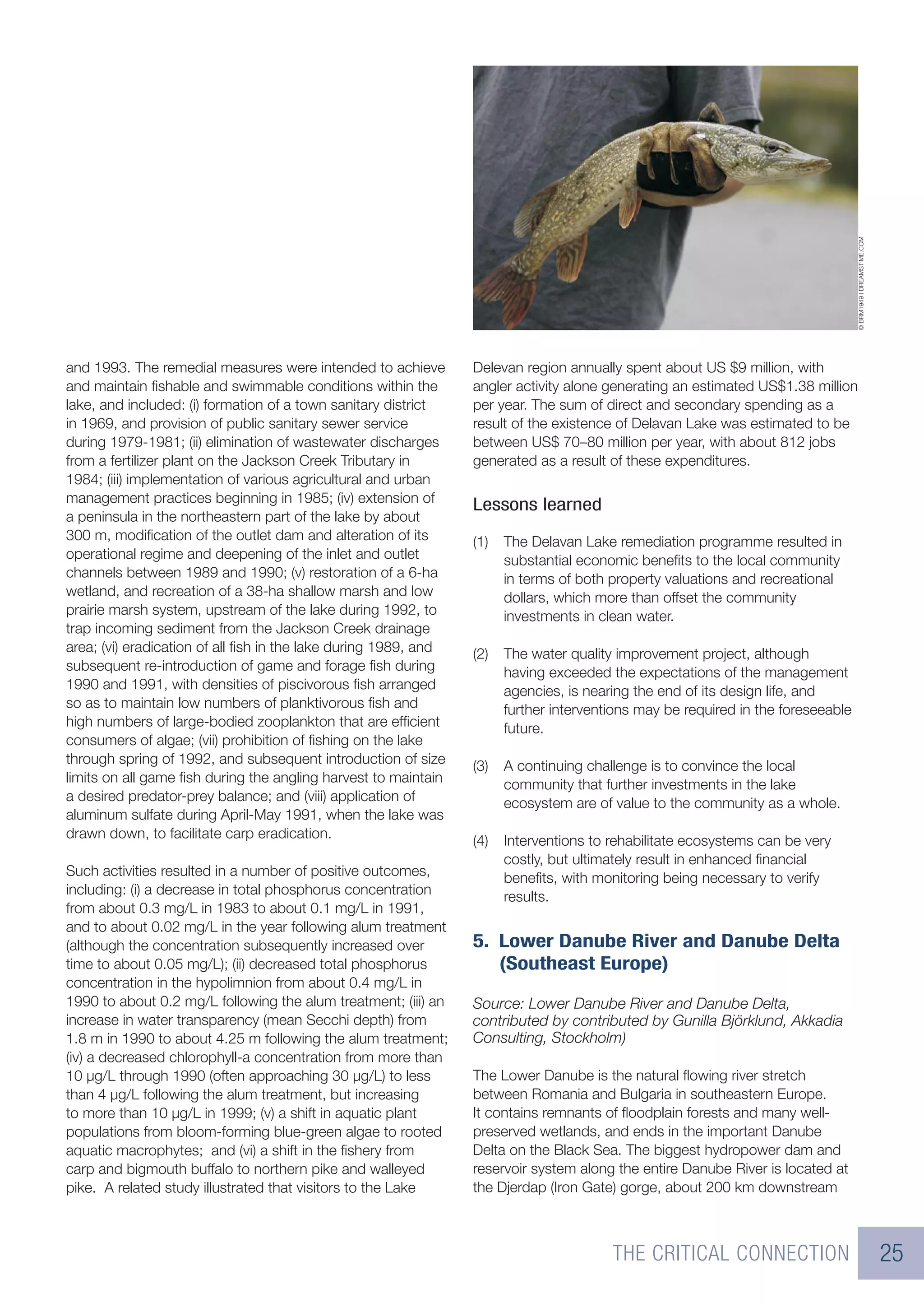 © BRM1949 | DREAMSTIME.COM
and 1993. The remedial measures were intended to achieve         Delevan region annually spent about US $9 million, with
and maintain ﬁshable and swimmable conditions within the         angler activity alone generating an estimated US$1.38 million
lake, and included: (i) formation of a town sanitary district    per year. The sum of direct and secondary spending as a
in 1969, and provision of public sanitary sewer service          result of the existence of Delavan Lake was estimated to be
during 1979-1981; (ii) elimination of wastewater discharges      between US$ 70–80 million per year, with about 812 jobs
from a fertilizer plant on the Jackson Creek Tributary in        generated as a result of these expenditures.
1984; (iii) implementation of various agricultural and urban
management practices beginning in 1985; (iv) extension of
                                                                 Lessons learned
a peninsula in the northeastern part of the lake by about
300 m, modiﬁcation of the outlet dam and alteration of its       (1)   The Delavan Lake remediation programme resulted in
operational regime and deepening of the inlet and outlet               substantial economic beneﬁts to the local community
channels between 1989 and 1990; (v) restoration of a 6-ha              in terms of both property valuations and recreational
wetland, and recreation of a 38-ha shallow marsh and low               dollars, which more than offset the community
prairie marsh system, upstream of the lake during 1992, to             investments in clean water.
trap incoming sediment from the Jackson Creek drainage
area; (vi) eradication of all ﬁsh in the lake during 1989, and   (2)   The water quality improvement project, although
subsequent re-introduction of game and forage ﬁsh during               having exceeded the expectations of the management
1990 and 1991, with densities of piscivorous ﬁsh arranged              agencies, is nearing the end of its design life, and
so as to maintain low numbers of planktivorous ﬁsh and                 further interventions may be required in the foreseeable
high numbers of large-bodied zooplankton that are efﬁcient             future.
consumers of algae; (vii) prohibition of ﬁshing on the lake
through spring of 1992, and subsequent introduction of size      (3)   A continuing challenge is to convince the local
limits on all game ﬁsh during the angling harvest to maintain          community that further investments in the lake
a desired predator-prey balance; and (viii) application of             ecosystem are of value to the community as a whole.
aluminum sulfate during April-May 1991, when the lake was
drawn down, to facilitate carp eradication.                      (4)   Interventions to rehabilitate ecosystems can be very
                                                                       costly, but ultimately result in enhanced ﬁnancial
Such activities resulted in a number of positive outcomes,             beneﬁts, with monitoring being necessary to verify
including: (i) a decrease in total phosphorus concentration            results.
from about 0.3 mg/L in 1983 to about 0.1 mg/L in 1991,
and to about 0.02 mg/L in the year following alum treatment
(although the concentration subsequently increased over          5. Lower Danube River and Danube Delta
time to about 0.05 mg/L); (ii) decreased total phosphorus           (Southeast Europe)
concentration in the hypolimnion from about 0.4 mg/L in
1990 to about 0.2 mg/L following the alum treatment; (iii) an    Source: Lower Danube River and Danube Delta,
increase in water transparency (mean Secchi depth) from          contributed by contributed by Gunilla Björklund, Akkadia
1.8 m in 1990 to about 4.25 m following the alum treatment;      Consulting, Stockholm)
(iv) a decreased chlorophyll-a concentration from more than
10 µg/L through 1990 (often approaching 30 µg/L) to less         The Lower Danube is the natural ﬂowing river stretch
than 4 µg/L following the alum treatment, but increasing         between Romania and Bulgaria in southeastern Europe.
to more than 10 µg/L in 1999; (v) a shift in aquatic plant       It contains remnants of ﬂoodplain forests and many well-
populations from bloom-forming blue-green algae to rooted        preserved wetlands, and ends in the important Danube
aquatic macrophytes; and (vi) a shift in the ﬁshery from         Delta on the Black Sea. The biggest hydropower dam and
carp and bigmouth buffalo to northern pike and walleyed          reservoir system along the entire Danube River is located at
pike. A related study illustrated that visitors to the Lake      the Djerdap (Iron Gate) gorge, about 200 km downstream



                                                                                        THE CRITICAL CONNECTION                                                25
 