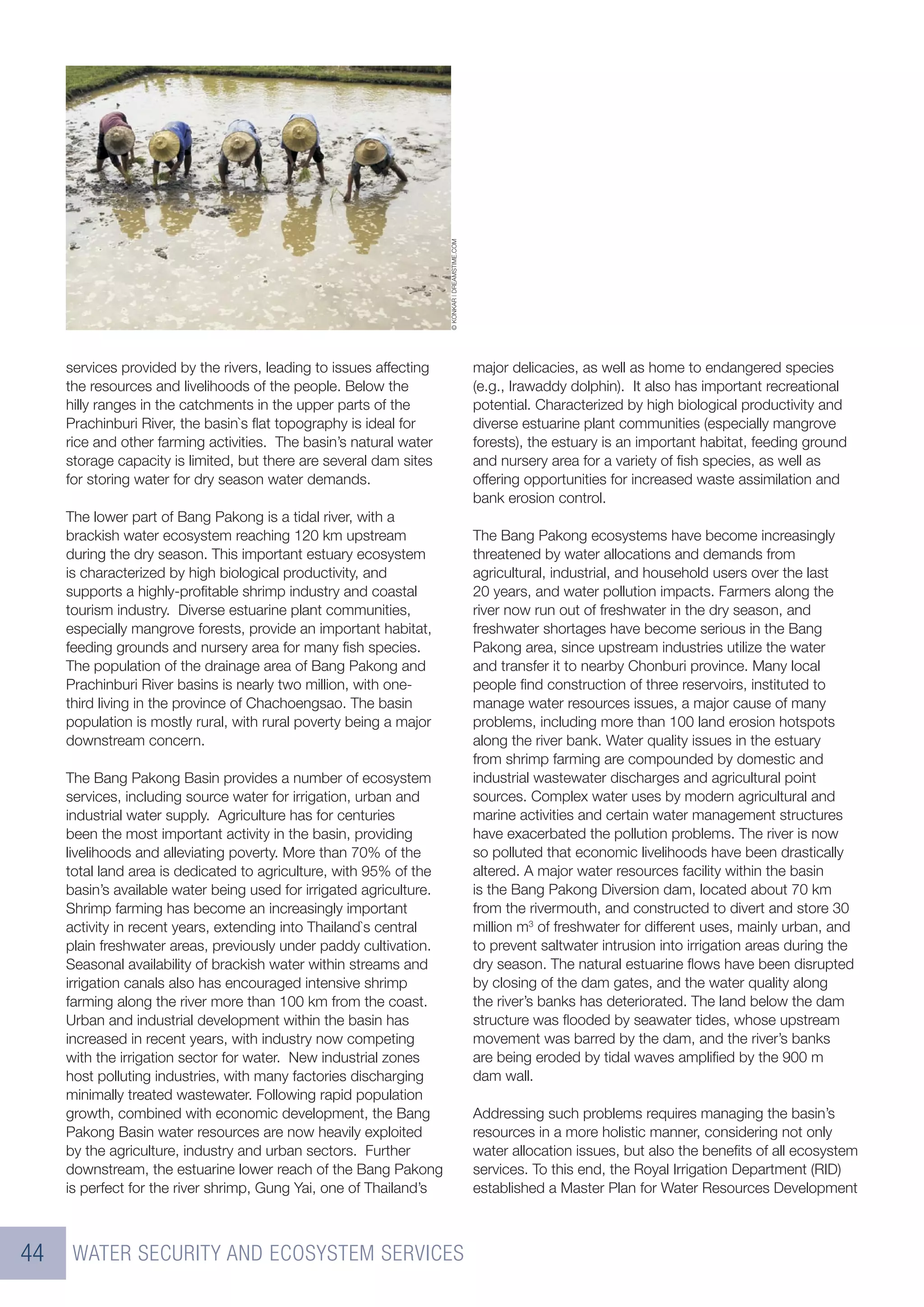 © KONKAR | DREAMSTIME.COM
     services provided by the rivers, leading to issues affecting                                major delicacies, as well as home to endangered species
     the resources and livelihoods of the people. Below the                                      (e.g., Irawaddy dolphin). It also has important recreational
     hilly ranges in the catchments in the upper parts of the                                    potential. Characterized by high biological productivity and
     Prachinburi River, the basin`s ﬂat topography is ideal for                                  diverse estuarine plant communities (especially mangrove
     rice and other farming activities. The basin’s natural water                                forests), the estuary is an important habitat, feeding ground
     storage capacity is limited, but there are several dam sites                                and nursery area for a variety of ﬁsh species, as well as
     for storing water for dry season water demands.                                             offering opportunities for increased waste assimilation and
                                                                                                 bank erosion control.
     The lower part of Bang Pakong is a tidal river, with a
     brackish water ecosystem reaching 120 km upstream                                           The Bang Pakong ecosystems have become increasingly
     during the dry season. This important estuary ecosystem                                     threatened by water allocations and demands from
     is characterized by high biological productivity, and                                       agricultural, industrial, and household users over the last
     supports a highly-proﬁtable shrimp industry and coastal                                     20 years, and water pollution impacts. Farmers along the
     tourism industry. Diverse estuarine plant communities,                                      river now run out of freshwater in the dry season, and
     especially mangrove forests, provide an important habitat,                                  freshwater shortages have become serious in the Bang
     feeding grounds and nursery area for many ﬁsh species.                                      Pakong area, since upstream industries utilize the water
     The population of the drainage area of Bang Pakong and                                      and transfer it to nearby Chonburi province. Many local
     Prachinburi River basins is nearly two million, with one-                                   people ﬁnd construction of three reservoirs, instituted to
     third living in the province of Chachoengsao. The basin                                     manage water resources issues, a major cause of many
     population is mostly rural, with rural poverty being a major                                problems, including more than 100 land erosion hotspots
     downstream concern.                                                                         along the river bank. Water quality issues in the estuary
                                                                                                 from shrimp farming are compounded by domestic and
     The Bang Pakong Basin provides a number of ecosystem                                        industrial wastewater discharges and agricultural point
     services, including source water for irrigation, urban and                                  sources. Complex water uses by modern agricultural and
     industrial water supply. Agriculture has for centuries                                      marine activities and certain water management structures
     been the most important activity in the basin, providing                                    have exacerbated the pollution problems. The river is now
     livelihoods and alleviating poverty. More than 70% of the                                   so polluted that economic livelihoods have been drastically
     total land area is dedicated to agriculture, with 95% of the                                altered. A major water resources facility within the basin
     basin’s available water being used for irrigated agriculture.                               is the Bang Pakong Diversion dam, located about 70 km
     Shrimp farming has become an increasingly important                                         from the rivermouth, and constructed to divert and store 30
     activity in recent years, extending into Thailand`s central                                 million m3 of freshwater for different uses, mainly urban, and
     plain freshwater areas, previously under paddy cultivation.                                 to prevent saltwater intrusion into irrigation areas during the
     Seasonal availability of brackish water within streams and                                  dry season. The natural estuarine ﬂows have been disrupted
     irrigation canals also has encouraged intensive shrimp                                      by closing of the dam gates, and the water quality along
     farming along the river more than 100 km from the coast.                                    the river’s banks has deteriorated. The land below the dam
     Urban and industrial development within the basin has                                       structure was ﬂooded by seawater tides, whose upstream
     increased in recent years, with industry now competing                                      movement was barred by the dam, and the river’s banks
     with the irrigation sector for water. New industrial zones                                  are being eroded by tidal waves ampliﬁed by the 900 m
     host polluting industries, with many factories discharging                                  dam wall.
     minimally treated wastewater. Following rapid population
     growth, combined with economic development, the Bang                                        Addressing such problems requires managing the basin’s
     Pakong Basin water resources are now heavily exploited                                      resources in a more holistic manner, considering not only
     by the agriculture, industry and urban sectors. Further                                     water allocation issues, but also the beneﬁts of all ecosystem
     downstream, the estuarine lower reach of the Bang Pakong                                    services. To this end, the Royal Irrigation Department (RID)
     is perfect for the river shrimp, Gung Yai, one of Thailand’s                                established a Master Plan for Water Resources Development



44    WATER SECURITY AND ECOSYSTEM SERVICES
 