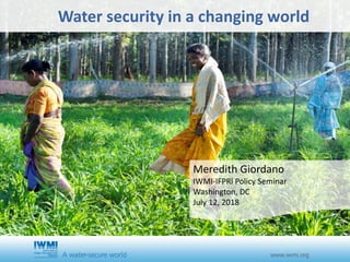 Cover slide option 1 TitleWater security in a changing world
Meredith Giordano
IWMI-IFPRI Policy Seminar
Washington, DC
July 12, 2018
 