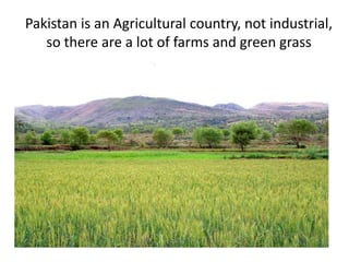 Pakistan is an Agricultural country, not industrial,
so there are a lot of farms and green grass
 