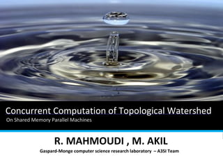 Andreea Dicu Alexandra Musat Carmen Neghina
Psycho-economics
Psychology
R. MAHMOUDI , M. AKIL
On Shared Memory Parallel Machines
Concurrent Computation of Topological Watershed
Gaspard-Monge computer science research laboratory – A3SI Team
 