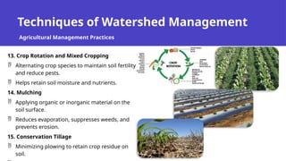 Techniques of Watershed Management
Agricultural Management Practices
13. Crop Rotation and Mixed Cropping
 Alternating crop species to maintain soil fertility
and reduce pests.
 Helps retain soil moisture and nutrients.
14. Mulching
 Applying organic or inorganic material on the
soil surface.
 Reduces evaporation, suppresses weeds, and
prevents erosion.
15. Conservation Tillage
 Minimizing plowing to retain crop residue on
soil.
 