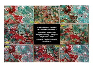1995 
1998 
1996 
1989 1989 
1995 
UMA-GANI WATERSHED 
CHANDRAPUR DISTRICT 
IRS LISS II and LISS III 
Images Showing Change in 
Vegetation Cover 
Cadastral Overlaid Image for 
sample area 
1998 1996 
 