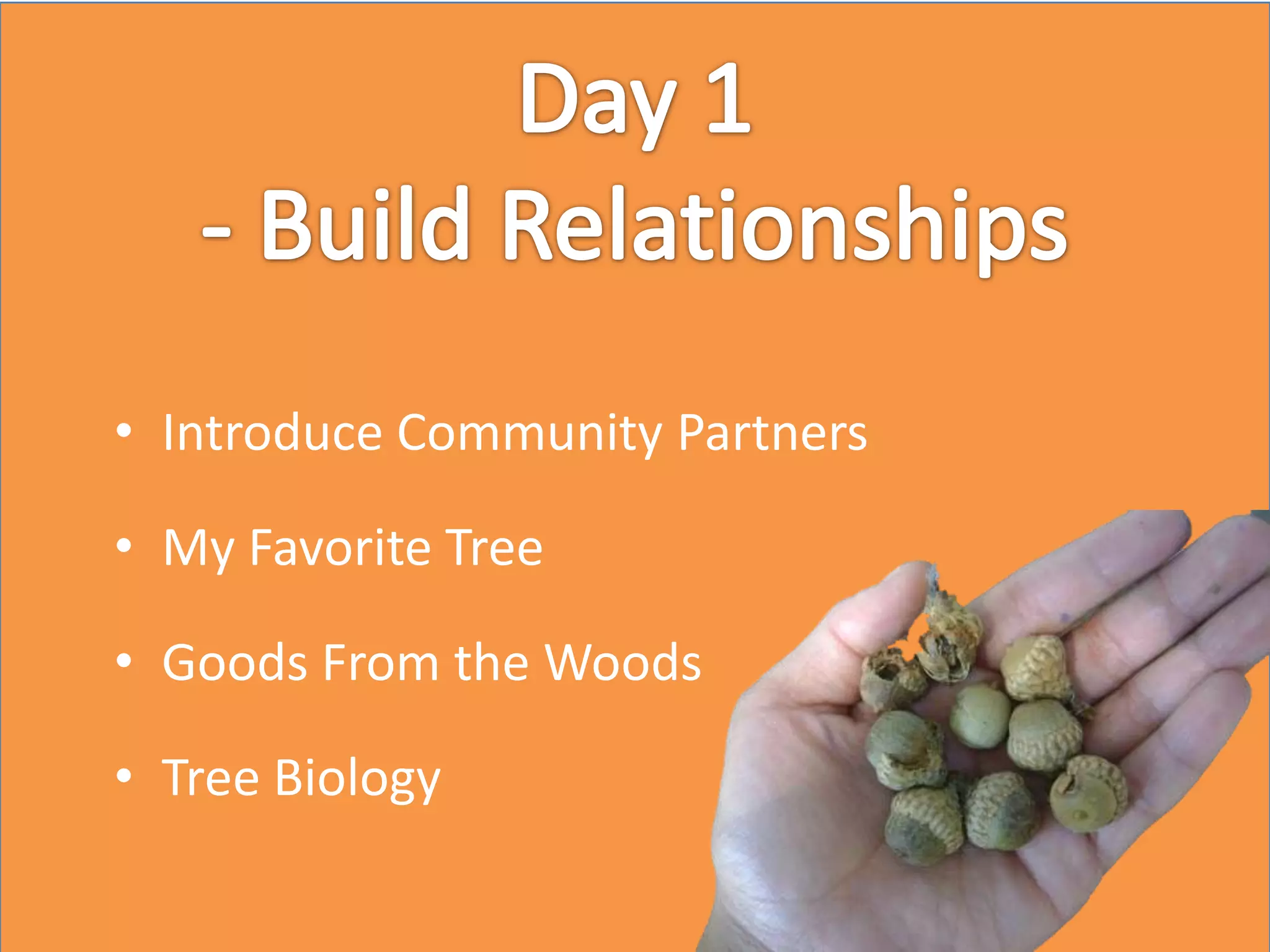 • Introduce Community Partners
• My Favorite Tree
• Goods From the Woods
• Tree Biology
 