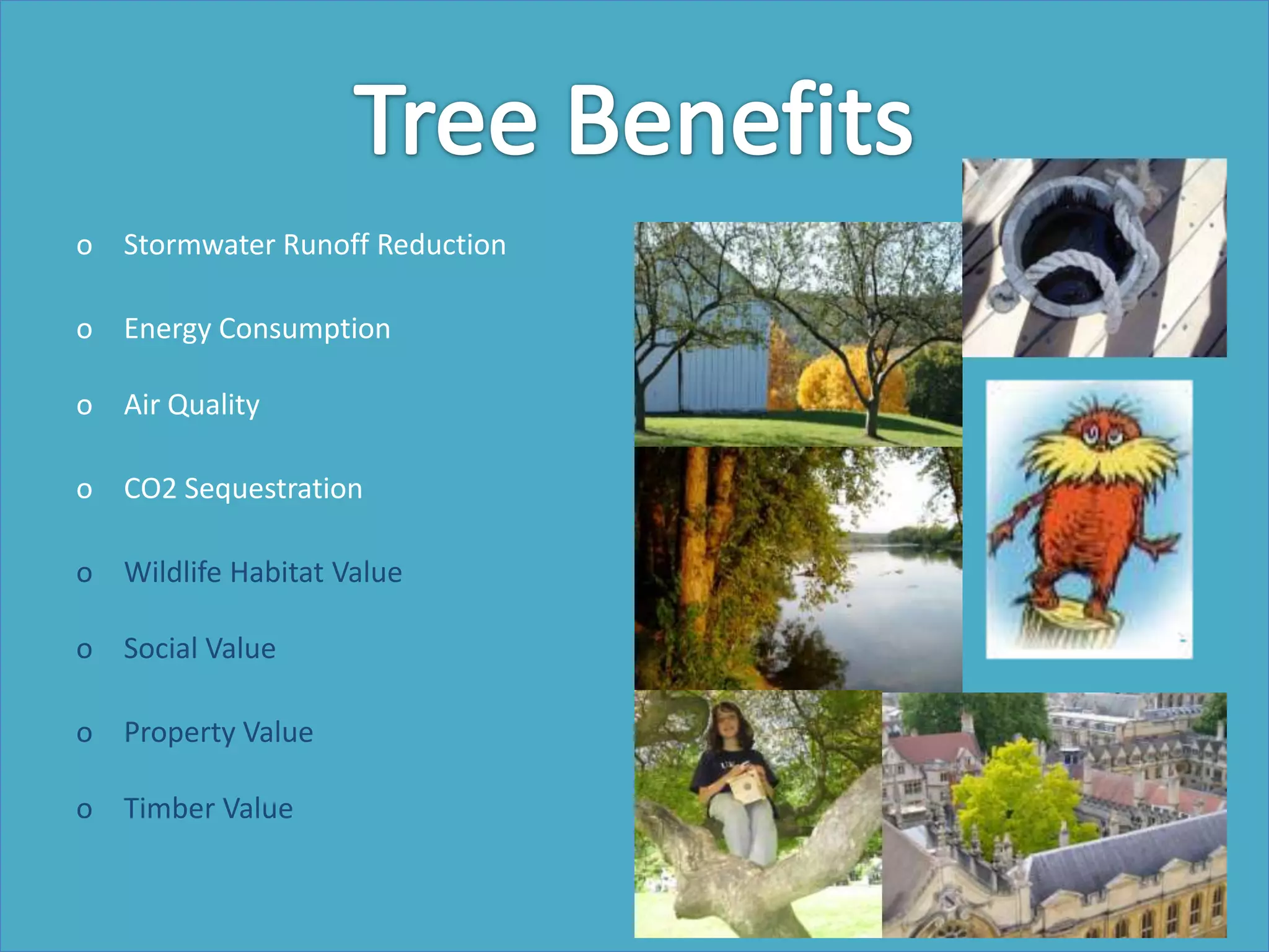 o Stormwater Runoff Reduction
o Energy Consumption
o Air Quality
o CO2 Sequestration
o Wildlife Habitat Value
o Social Value
o Property Value
o Timber Value
 