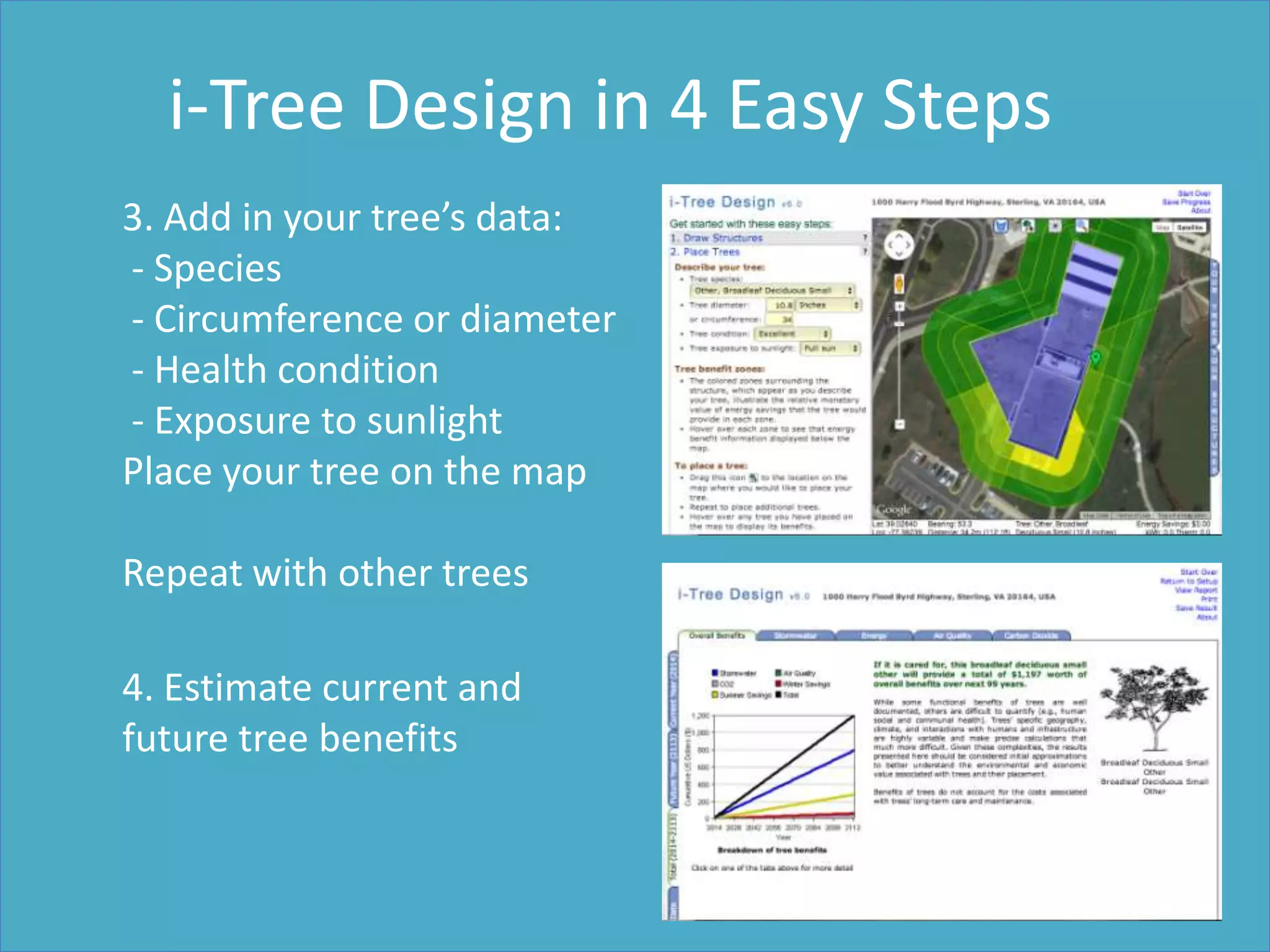 3. Add in your tree’s data:
- Species
- Circumference or diameter
- Health condition
- Exposure to sunlight
Place your tree on the map
Repeat with other trees
4. Estimate current and
future tree benefits
i-Tree Design in 4 Easy Steps
 