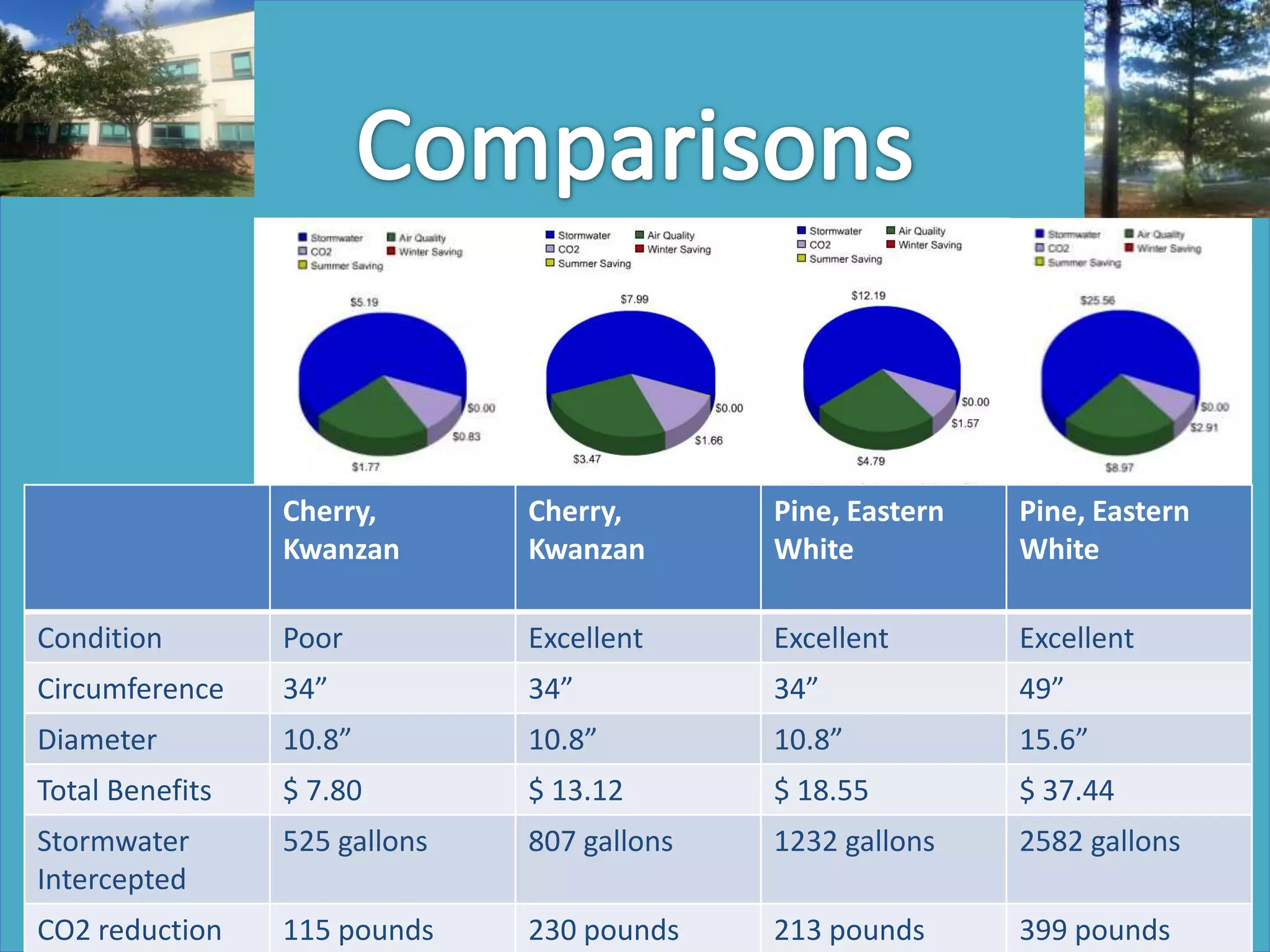 Cherry, Kwanzan Cherry, Kwanzan Pine, Eastern
White
Pine, Eastern
White
Condition Poor Excellent Excellent Excellent
Circumference 34” 34” 34” 49”
Diameter 10.8” 10.8” 10.8” 15.6”
Total Benefits $ 7.80 $ 13.12 $ 18.55 $ 37.44
Stormwater
Intercepted
525 gallons 807 gallons 1232 gallons 2582 gallons
CO2 reduction 115 pounds 230 pounds 213 pounds 399 pounds
6th Grade Team at Gunston Middle School
 