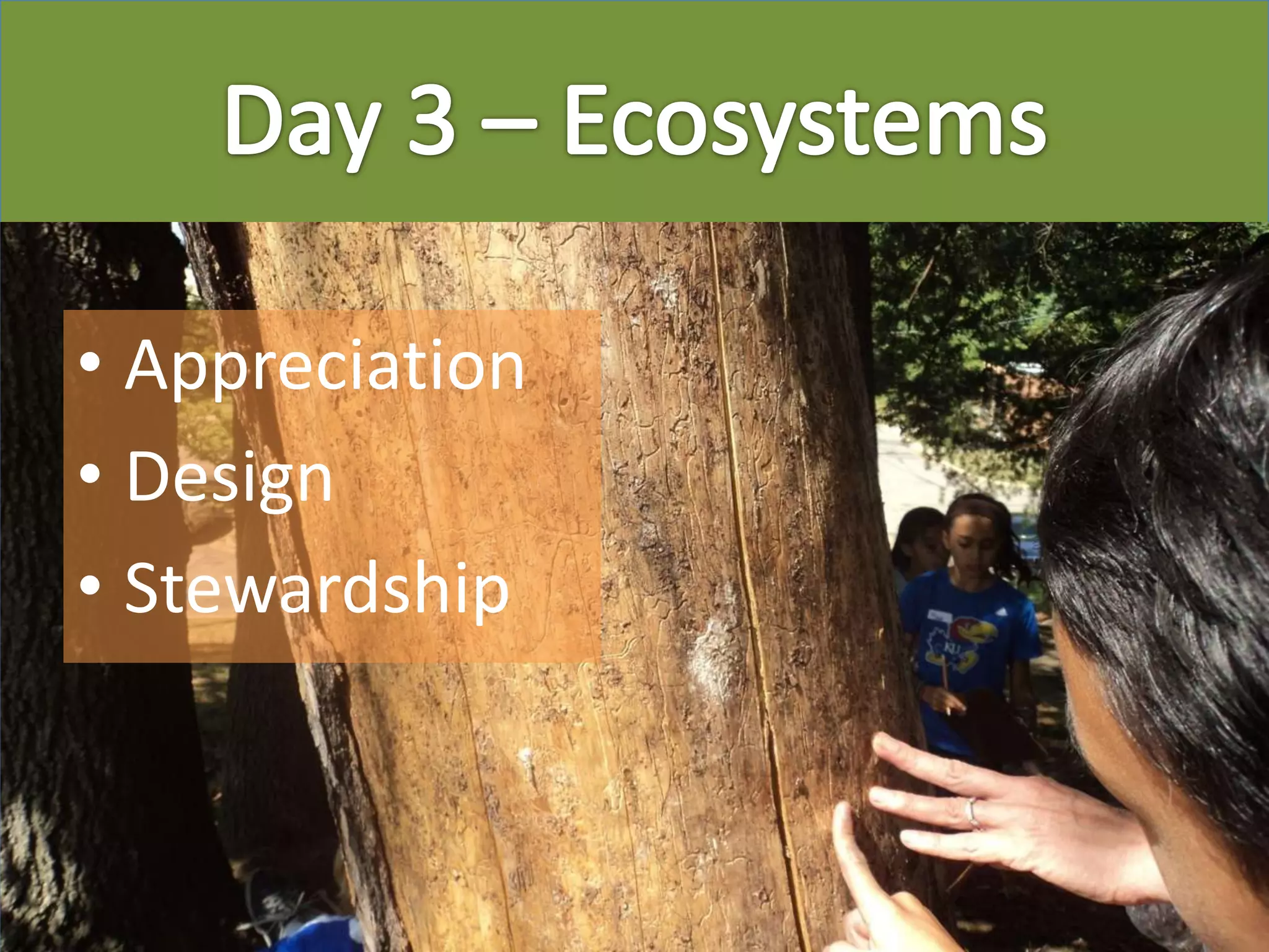 • Appreciation
• Design
• Stewardship
 