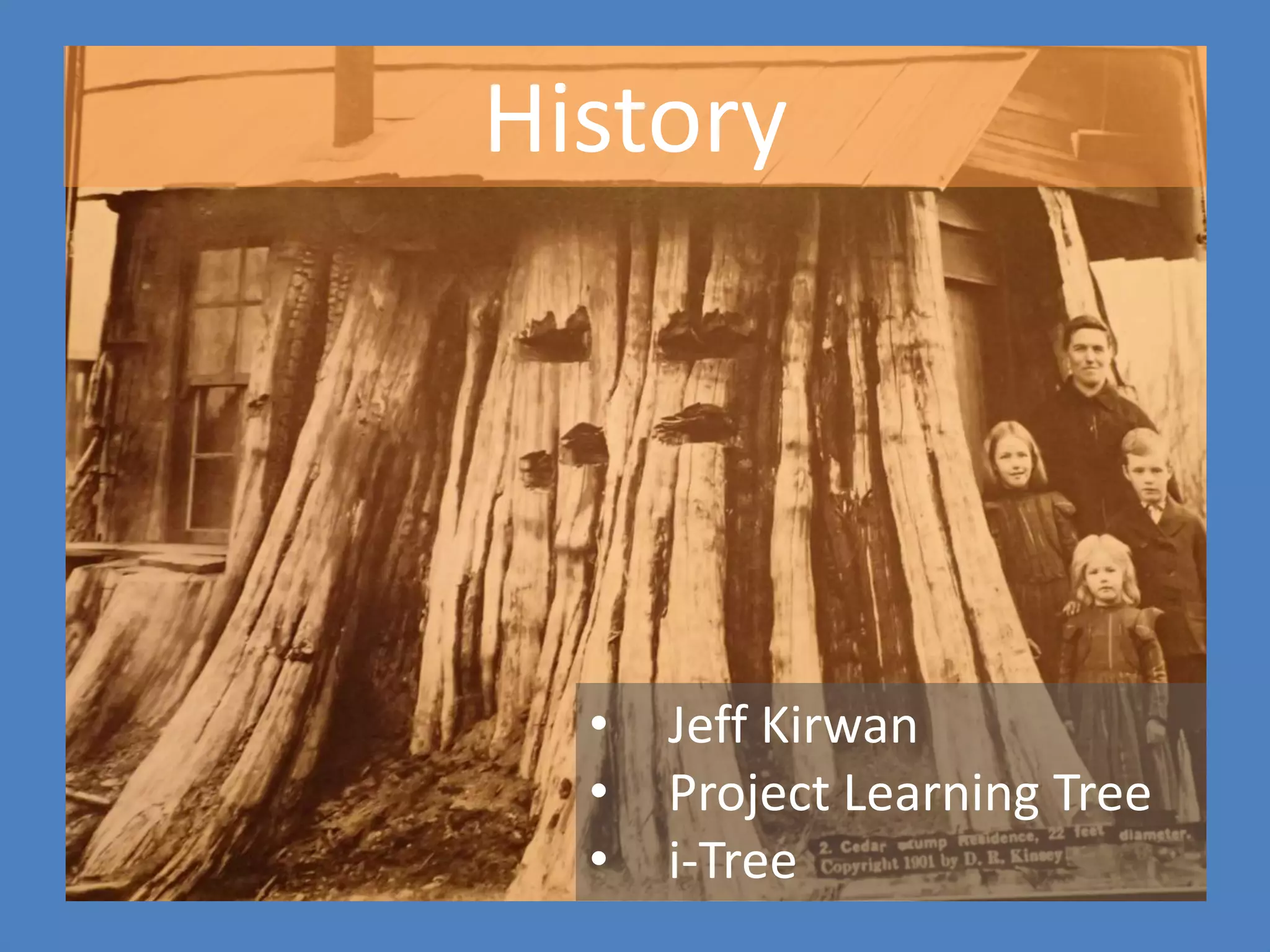 • Jeff Kirwan
• Project Learning Tree
• i-Tree
History
 