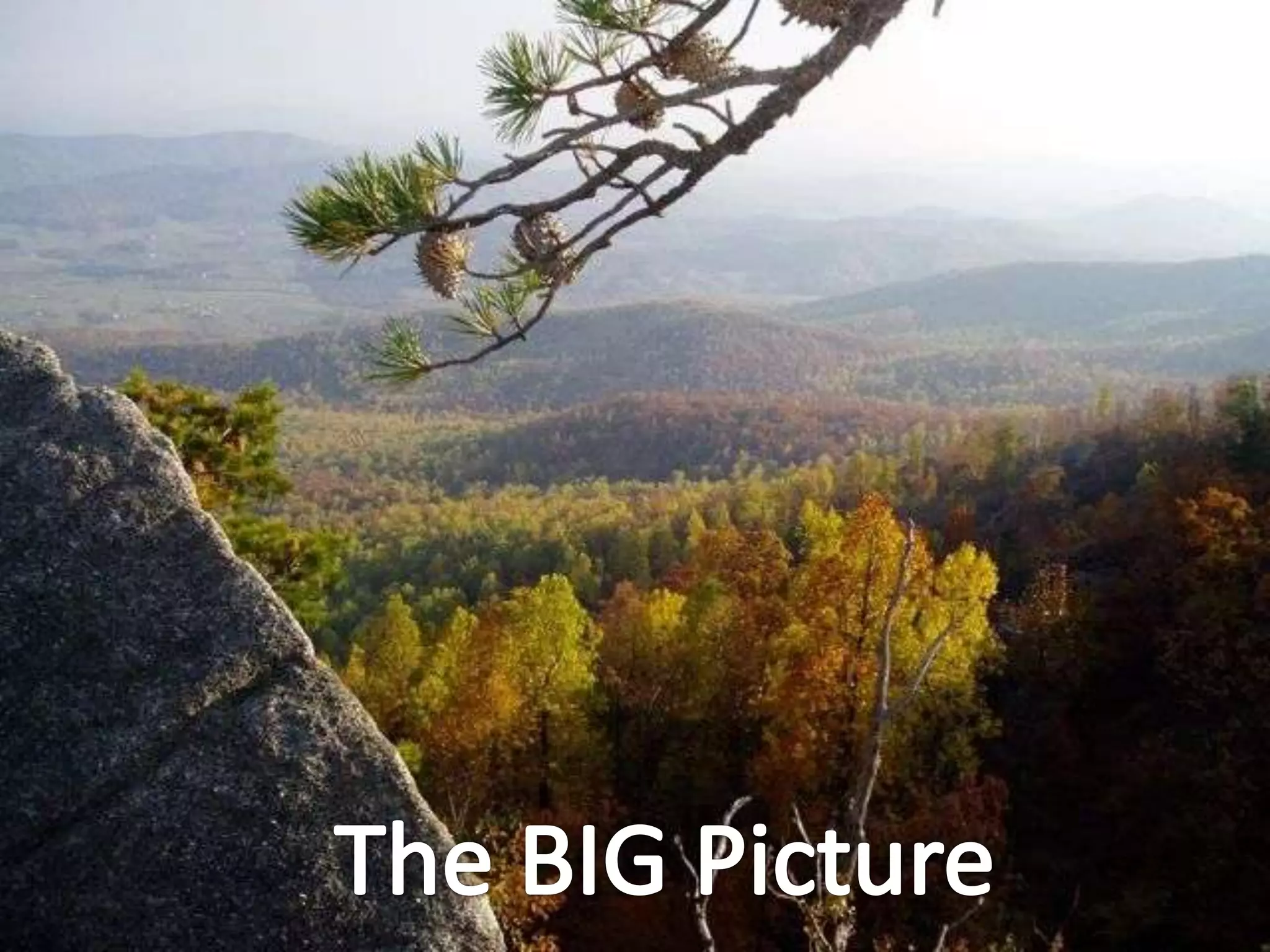 Use i-Tree Design to
Assess Impact Value for 1-99 years
• Project Goal includes:
Plant 15 Trees along a Potomac Stream Buffer
• Impact Value: $200,000+ benefits over next 99 years
• Huge impact, low cost
e.g. Dissolved Oxygen Project at George Washington Middle School
 