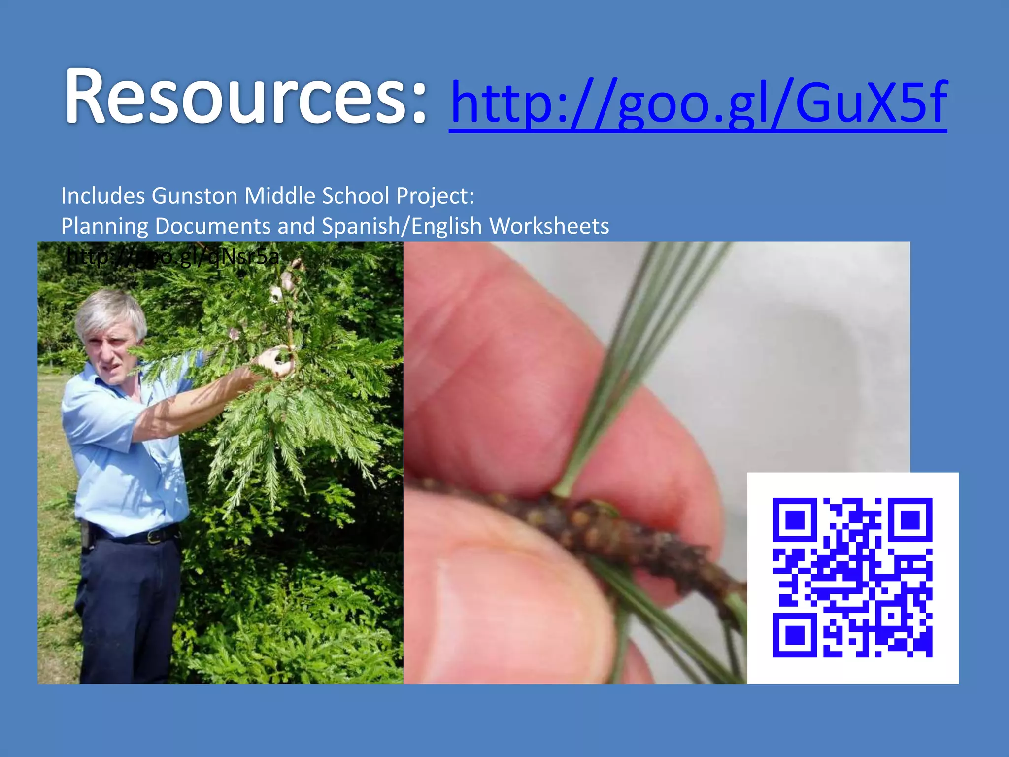 Use i-Tree Design to
Budget and Market
e.g. Dissolved Oxygen Project at George Washington Middle School
 