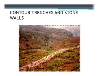 CONTOUR TRENCHES AND STONE
WALLS
 