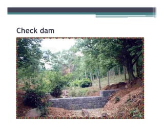 Check dam
 