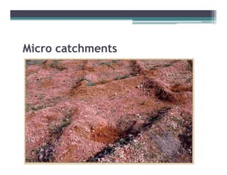 Micro catchments
 