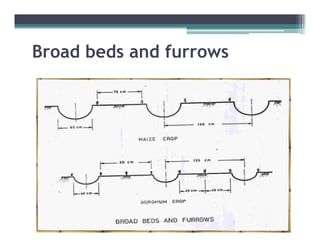 Broad b d and furrows
B   d beds d f
 