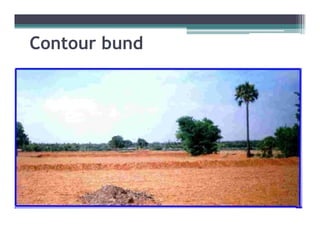 Contour bund
 
