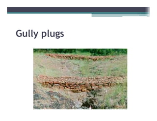 Gully plugs
    yp g
 