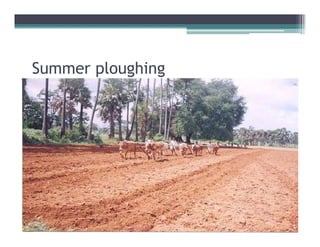 Summer ploughing
       p g g
 