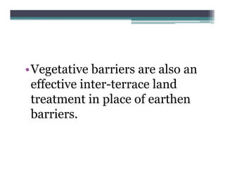 •Vegetative barriers are also an
    g
 effective inter-terrace land
 treatment in place of earthen
 barriers.
 