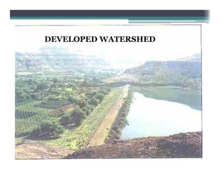 DEVELOPED WATERSHED
 