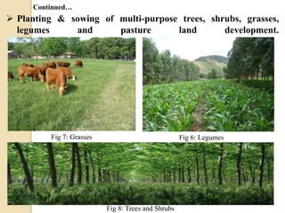  Planting & sowing of multi-purpose trees, shrubs, grasses,
legumes and pasture land development.
Fig 6: LegumesFig 7: Grasses
Fig 8: Trees and Shrubs
Continued…
 
