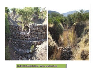 Watershed management experiences in Amhara Region, Ethiopia
