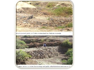 Watershed management experiences in Amhara Region, Ethiopia
