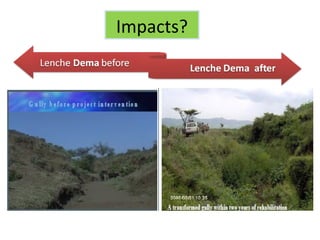 Watershed management experiences in Amhara Region, Ethiopia