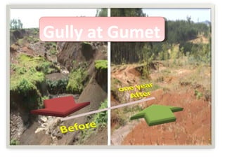 Watershed management experiences in Amhara Region, Ethiopia